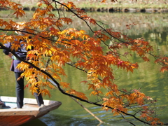 黄葉と船頭