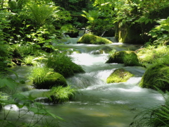 渓流