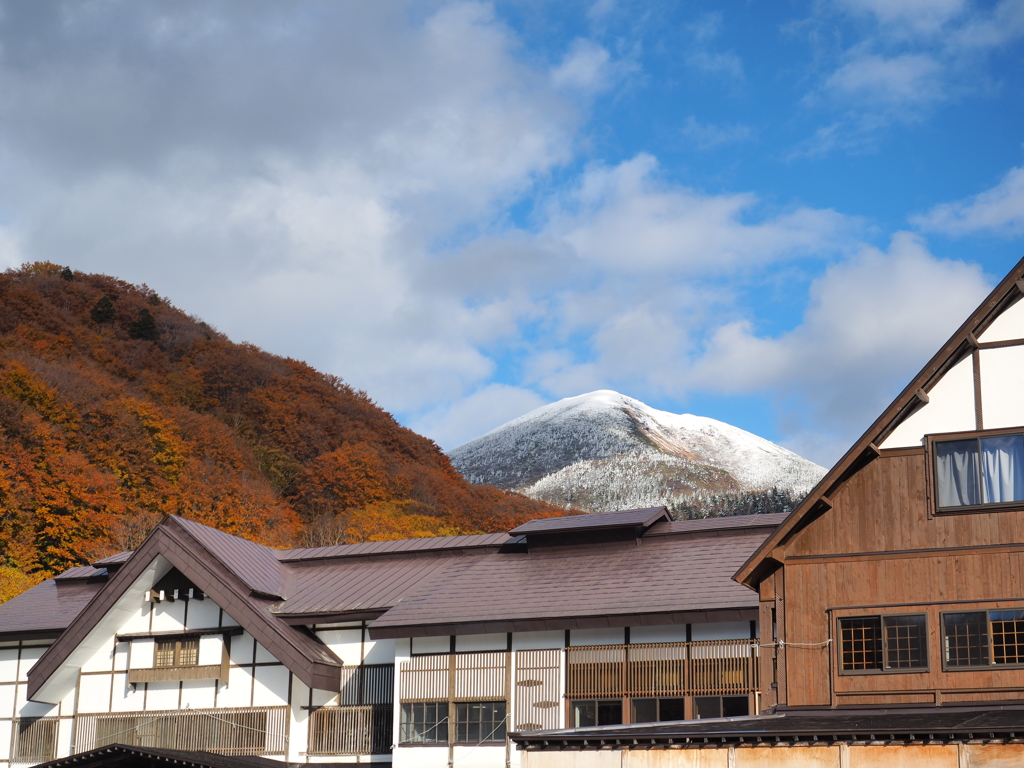 雪の便り