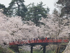 桜・下乗橋