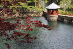 堰堤2
