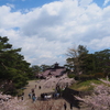 箱館奉行所