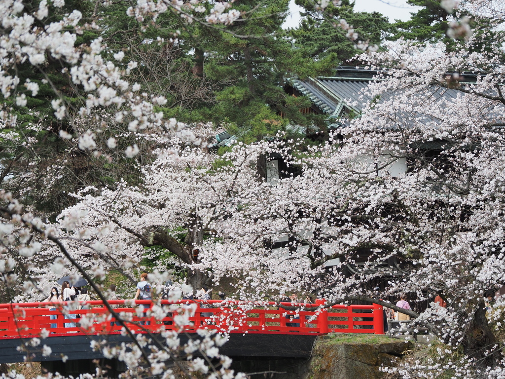 桜花