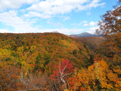 秋の風景 秋の風景