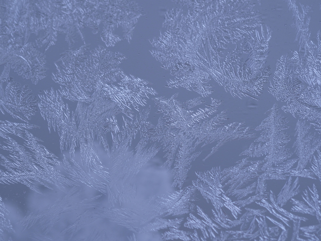 －10℃の贈り物（2）