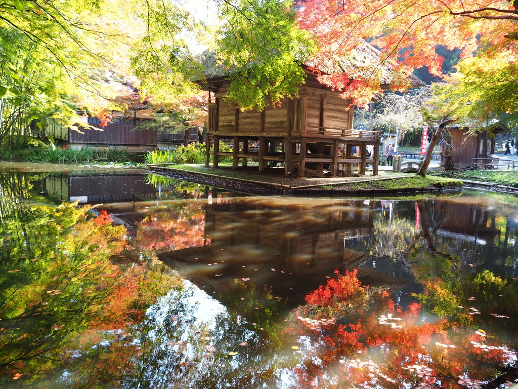 紅葉を求めて