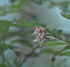 悩む-2！