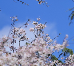 青空