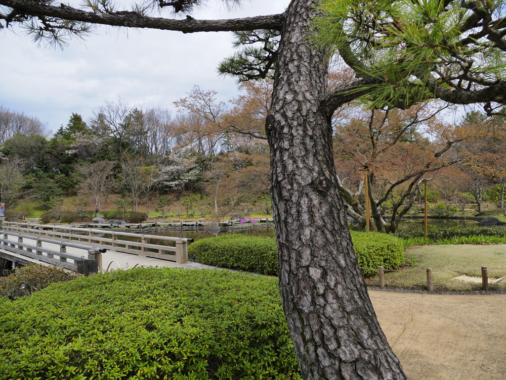 日本庭園