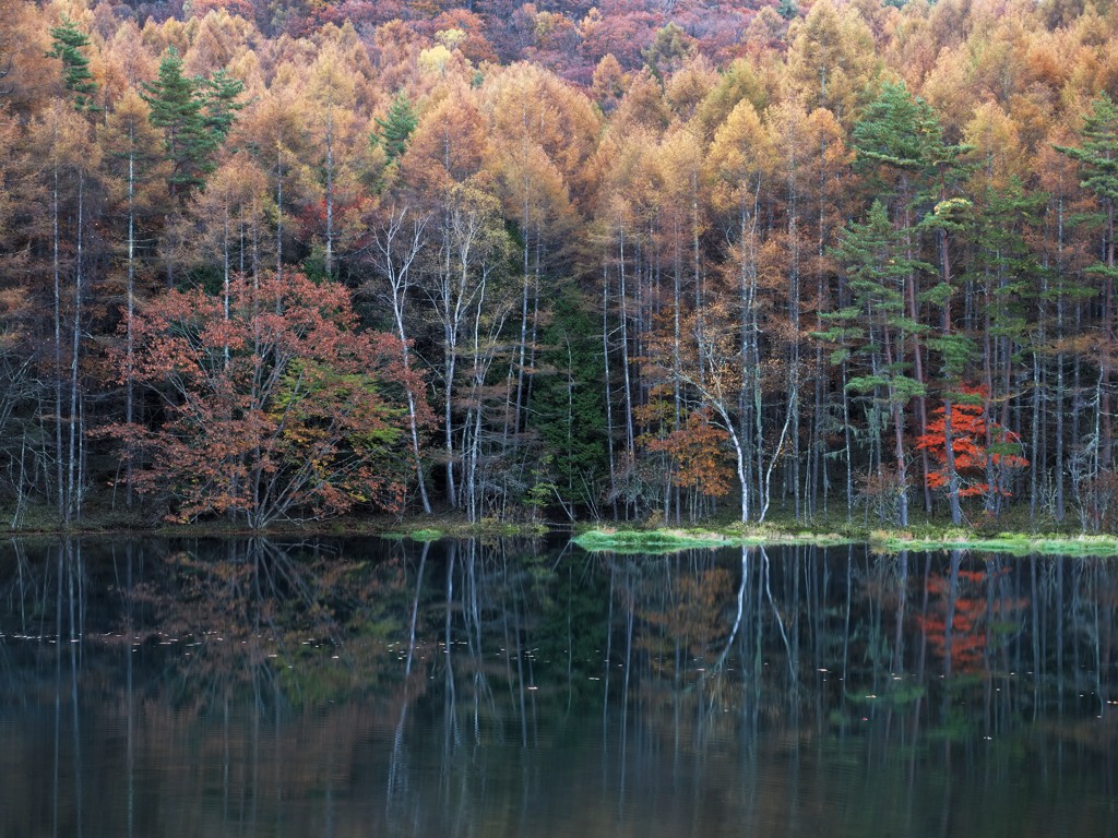 池の景色