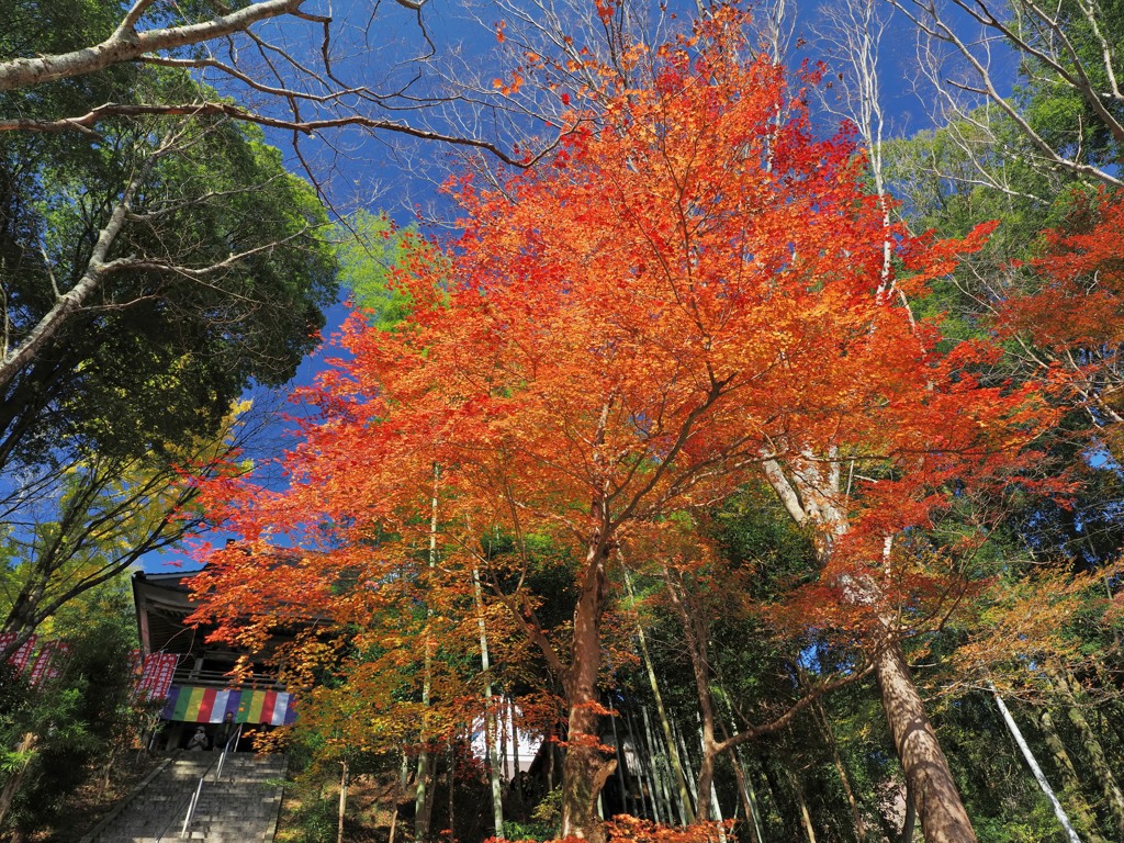 紅い空