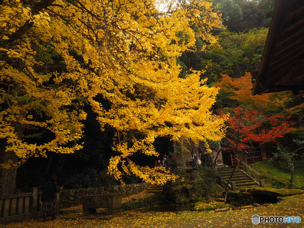 瑞應寺