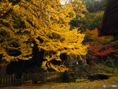 瑞應寺