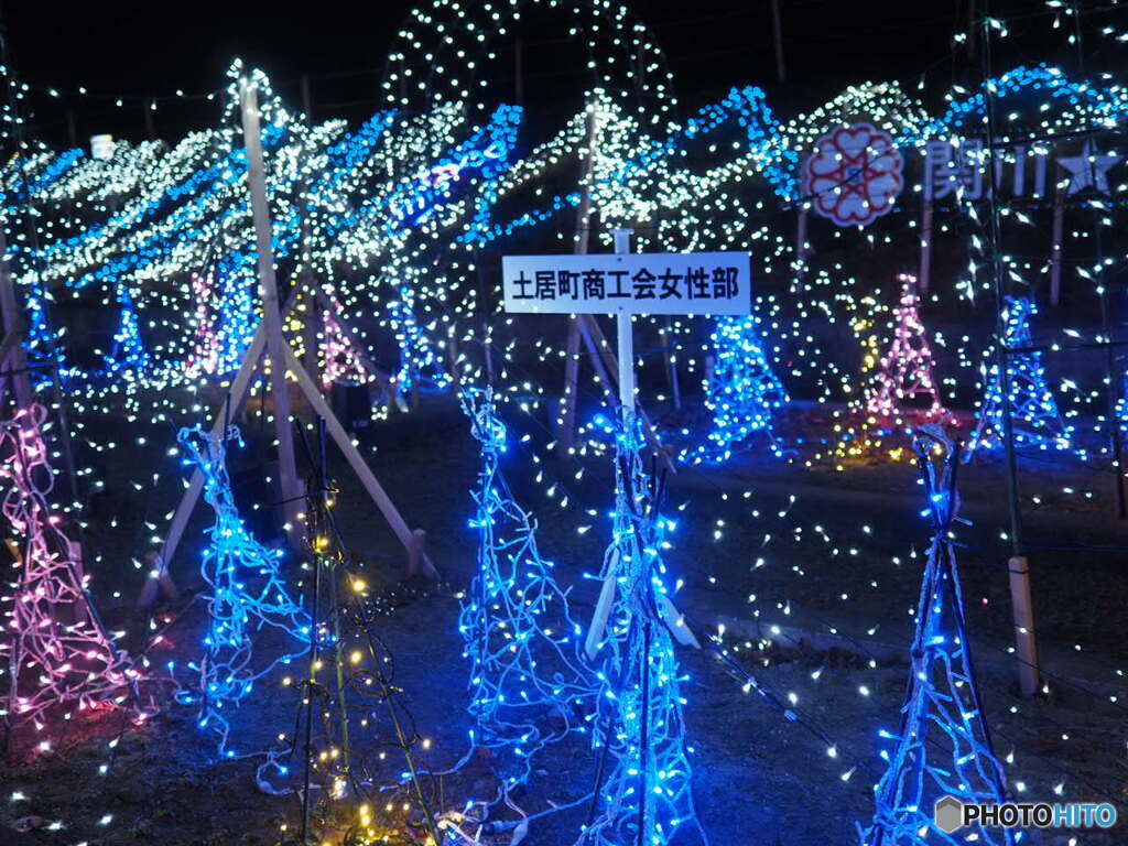 関川トゥインクル