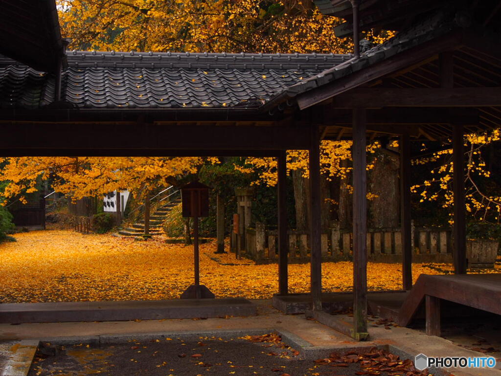 瑞應寺