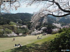 三島公園