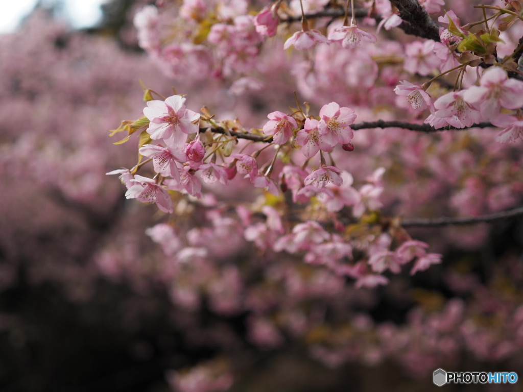 福万寺公園