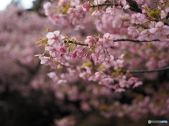 福万寺公園