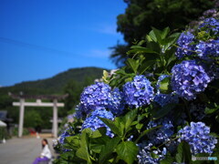 粟井神社