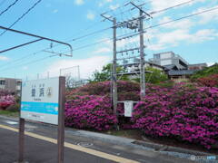 JR豊浜駅