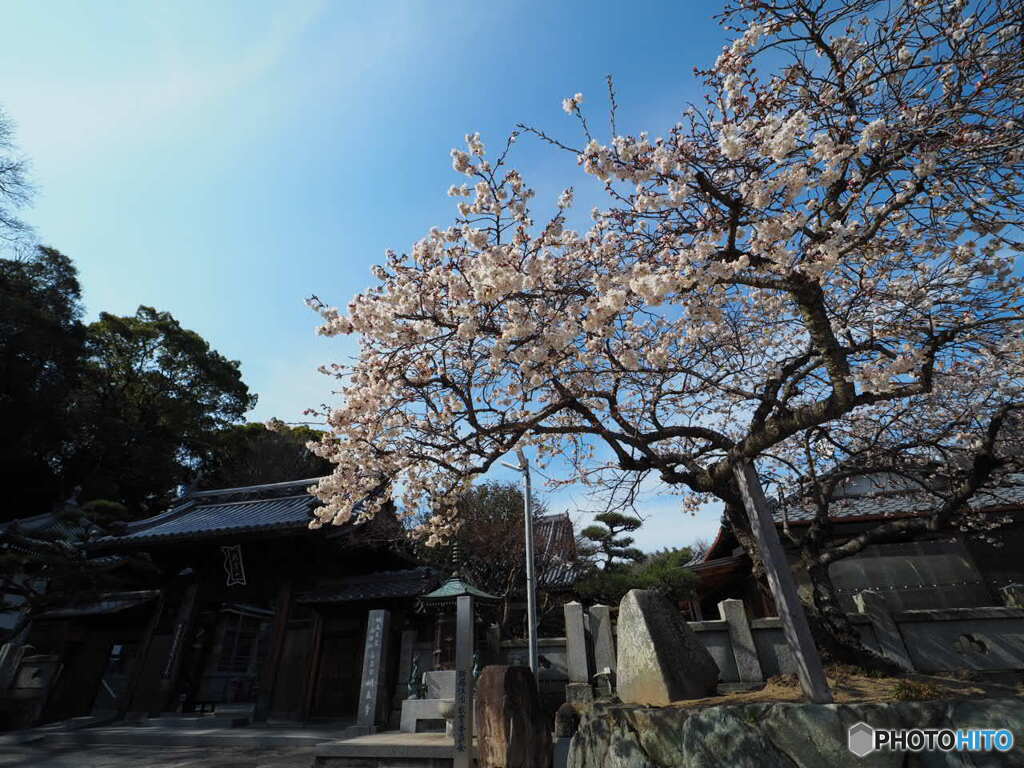 明正寺