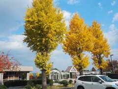 山根公園