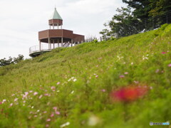 翠波高原