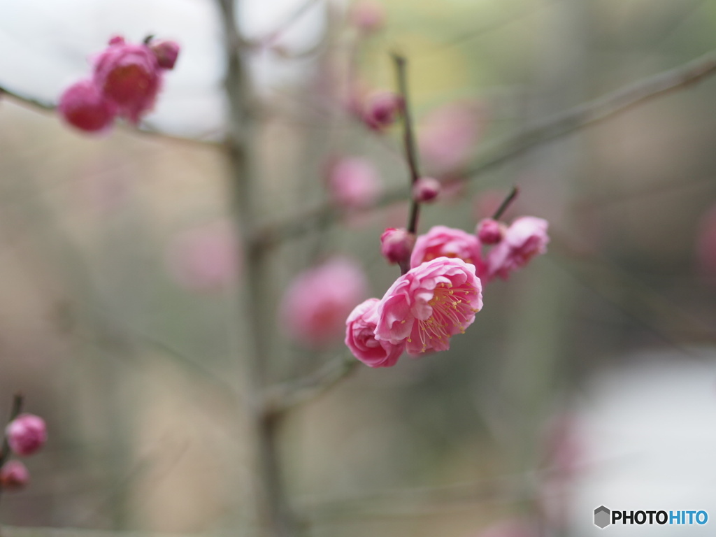 滝の宮公園