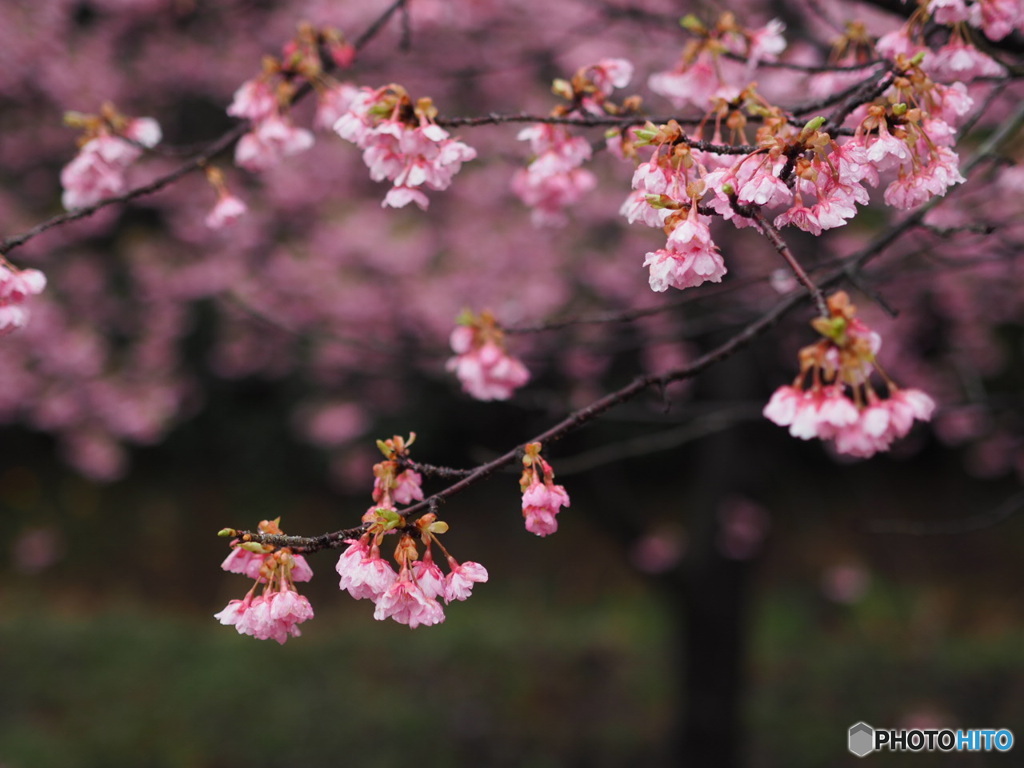 福万寺公園