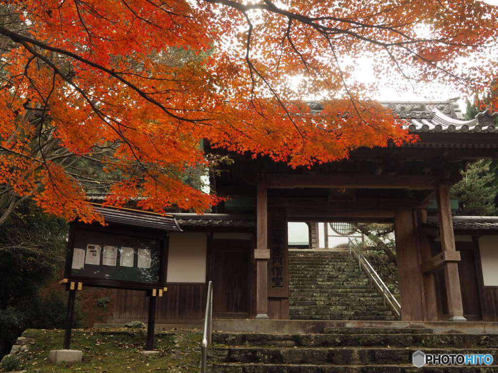 瑞應寺