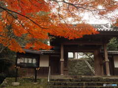 瑞應寺