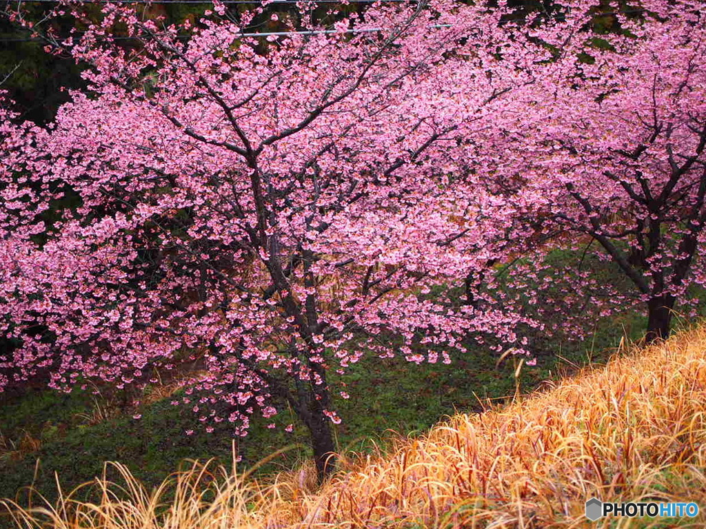 福万寺公園