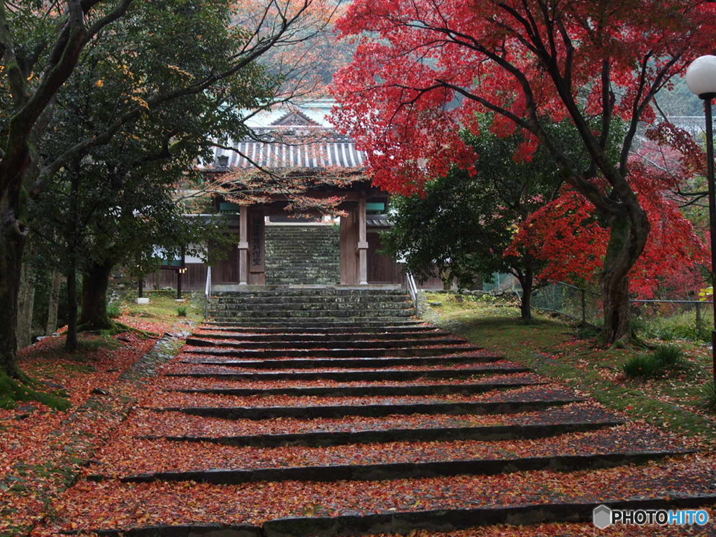 瑞應寺