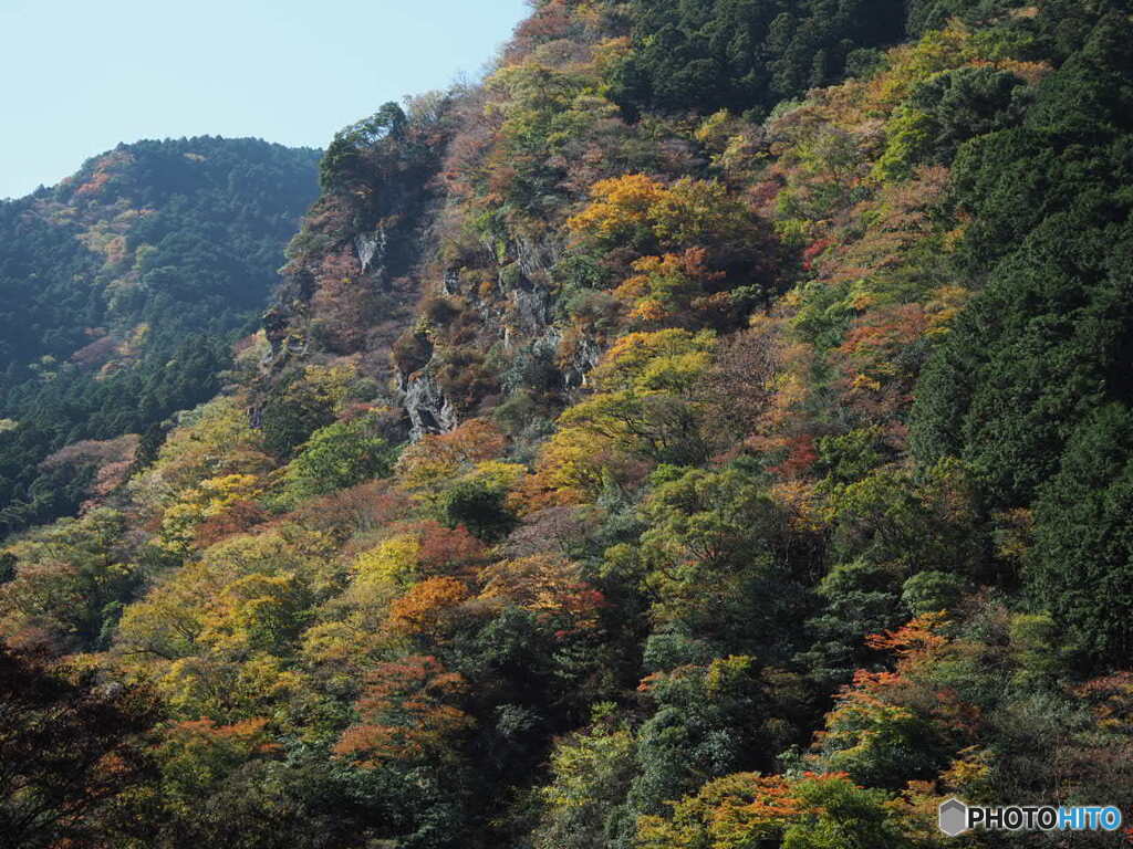 別子ライン