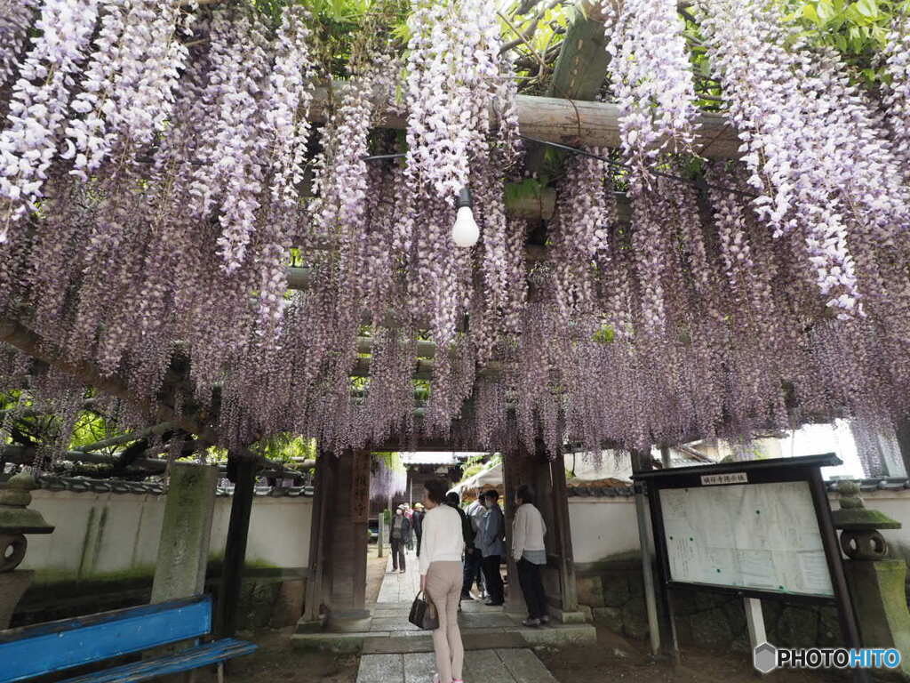 禎祥寺