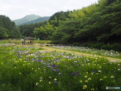 池田池公園