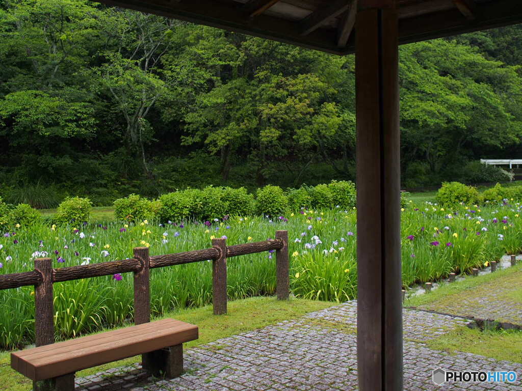 池田池公園