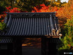 瑞応寺