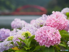 金砂湖