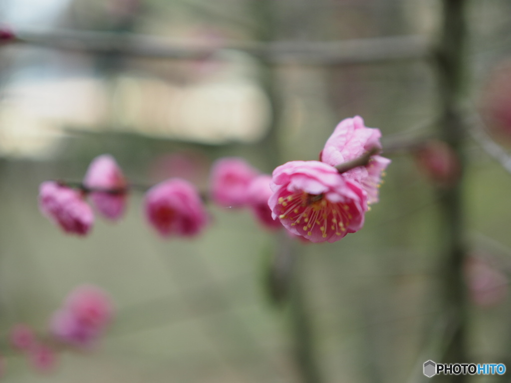 滝の宮公園