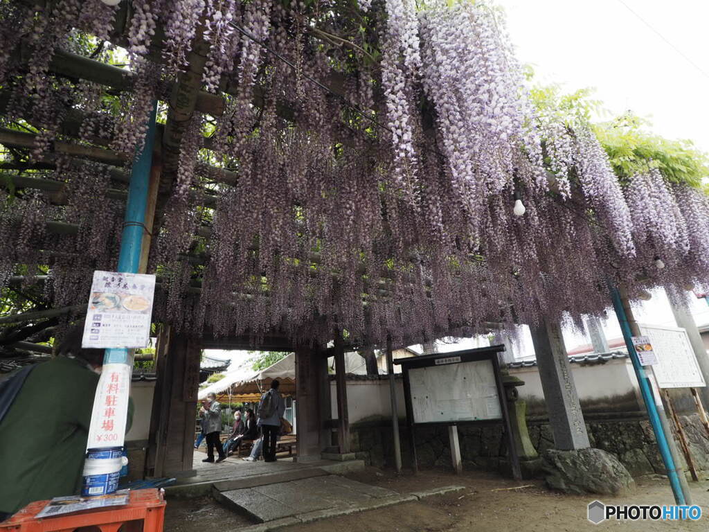 禎祥寺