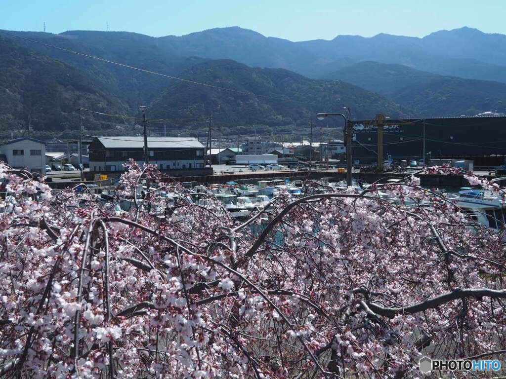 寒川漁港