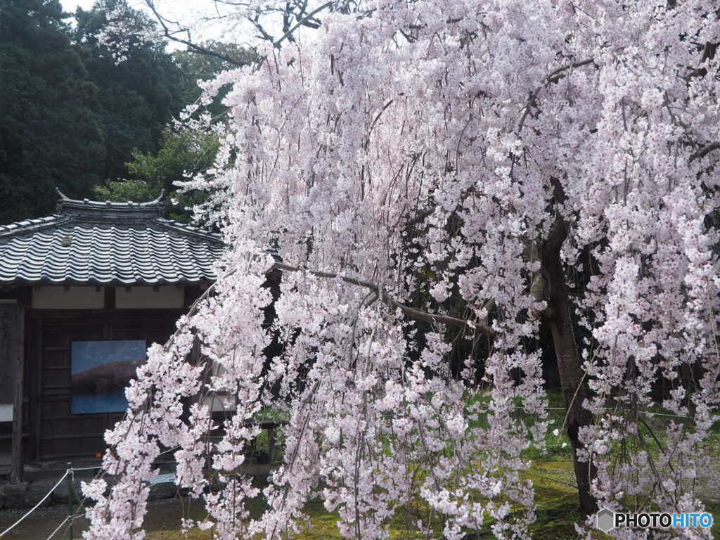 新長谷寺