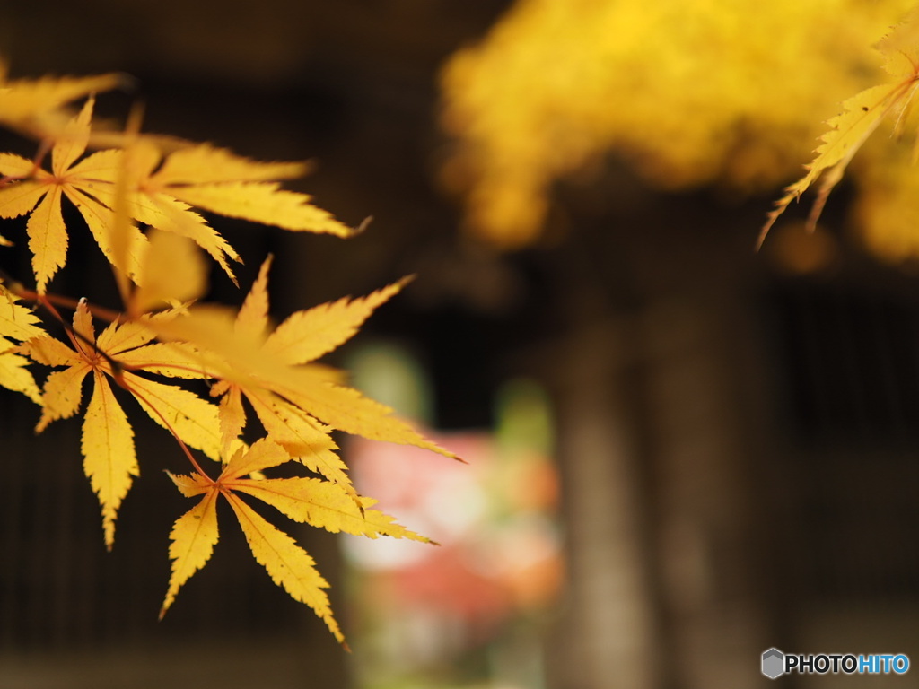 三角寺