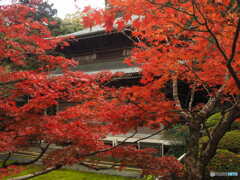 三角寺