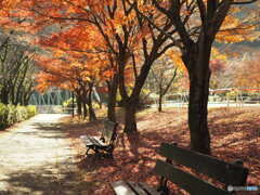 マイントピア別子