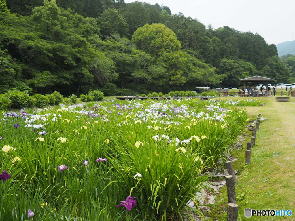 池田池公園