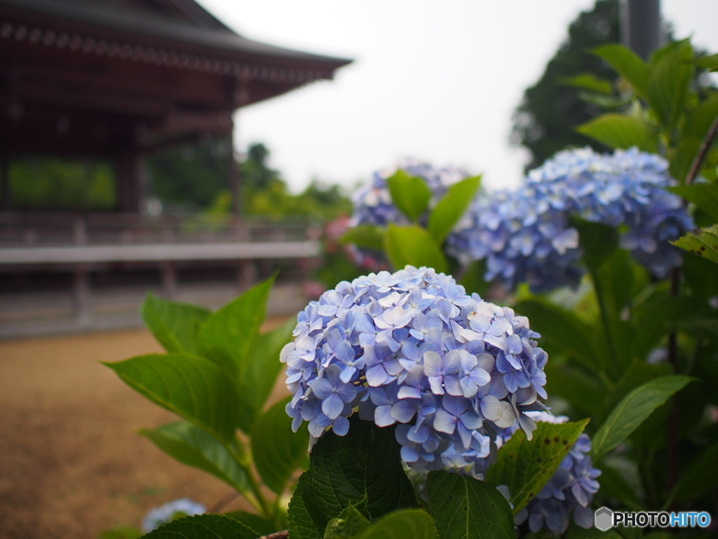 粟井神社