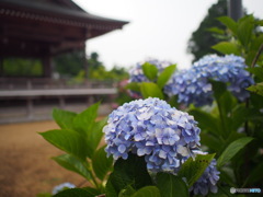 粟井神社