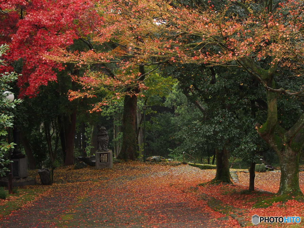 瑞應寺
